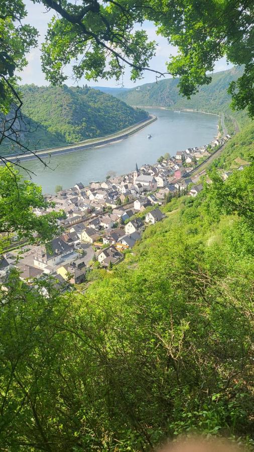 Ferienwohnung Zum Rheinblick Kestert Kültér fotó