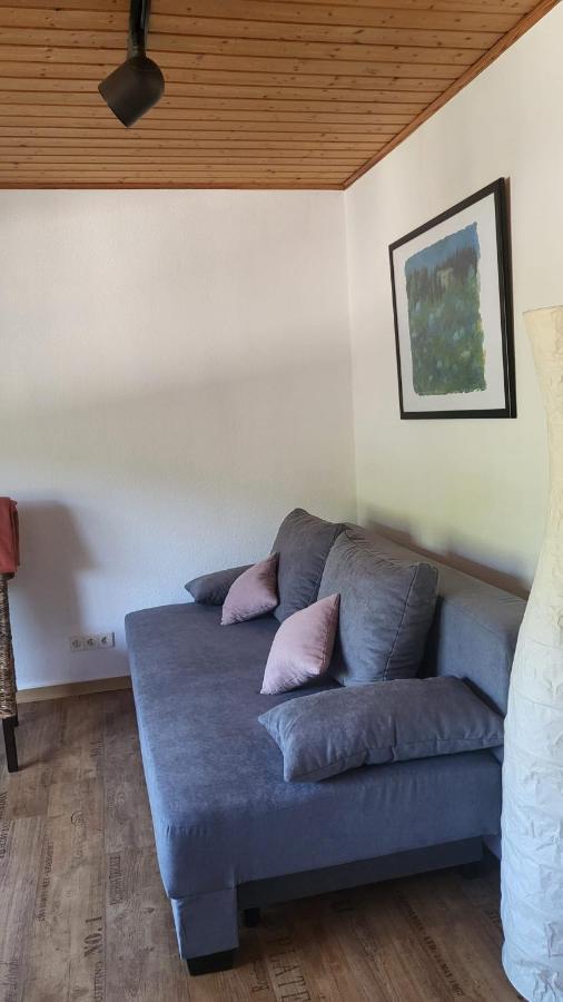 Ferienwohnung Zum Rheinblick Kestert Kültér fotó