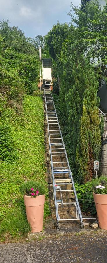 Ferienwohnung Zum Rheinblick Kestert Kültér fotó