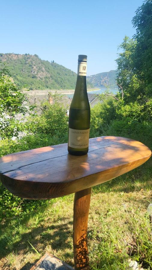Ferienwohnung Zum Rheinblick Kestert Kültér fotó